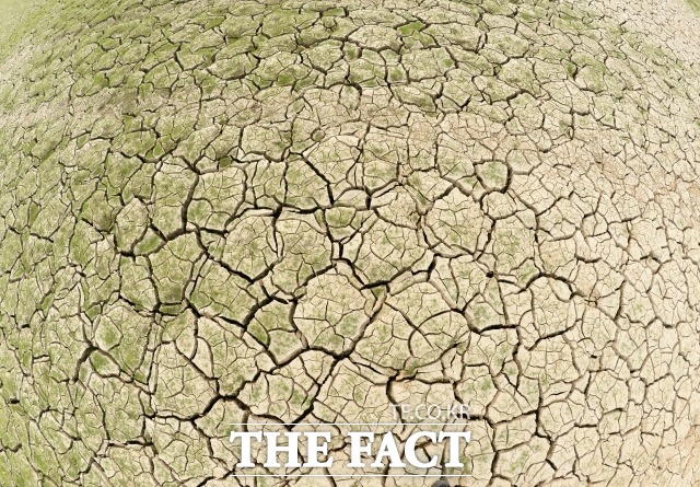 전국에 극심한 가뭄이 상황단계가 관심 단계로 격상했다. /이효균 기자