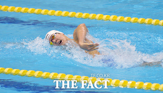  제98회 전국체육대회 수영 자유형 200m 결승전이 23일 오후 충북 청주실내체육관에서 열린 가운데 박태환 선수가 경기에 임하고 있다.