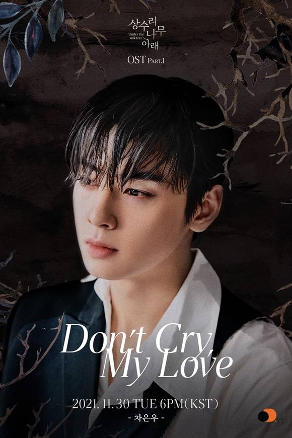 차은우가 가창한 '상수리나무 아래' OST 'Don’t Cry, My Love'가 오는 30일 오후 6시 공개된다. /오렌지디멘션(orangeDmsn) 제공