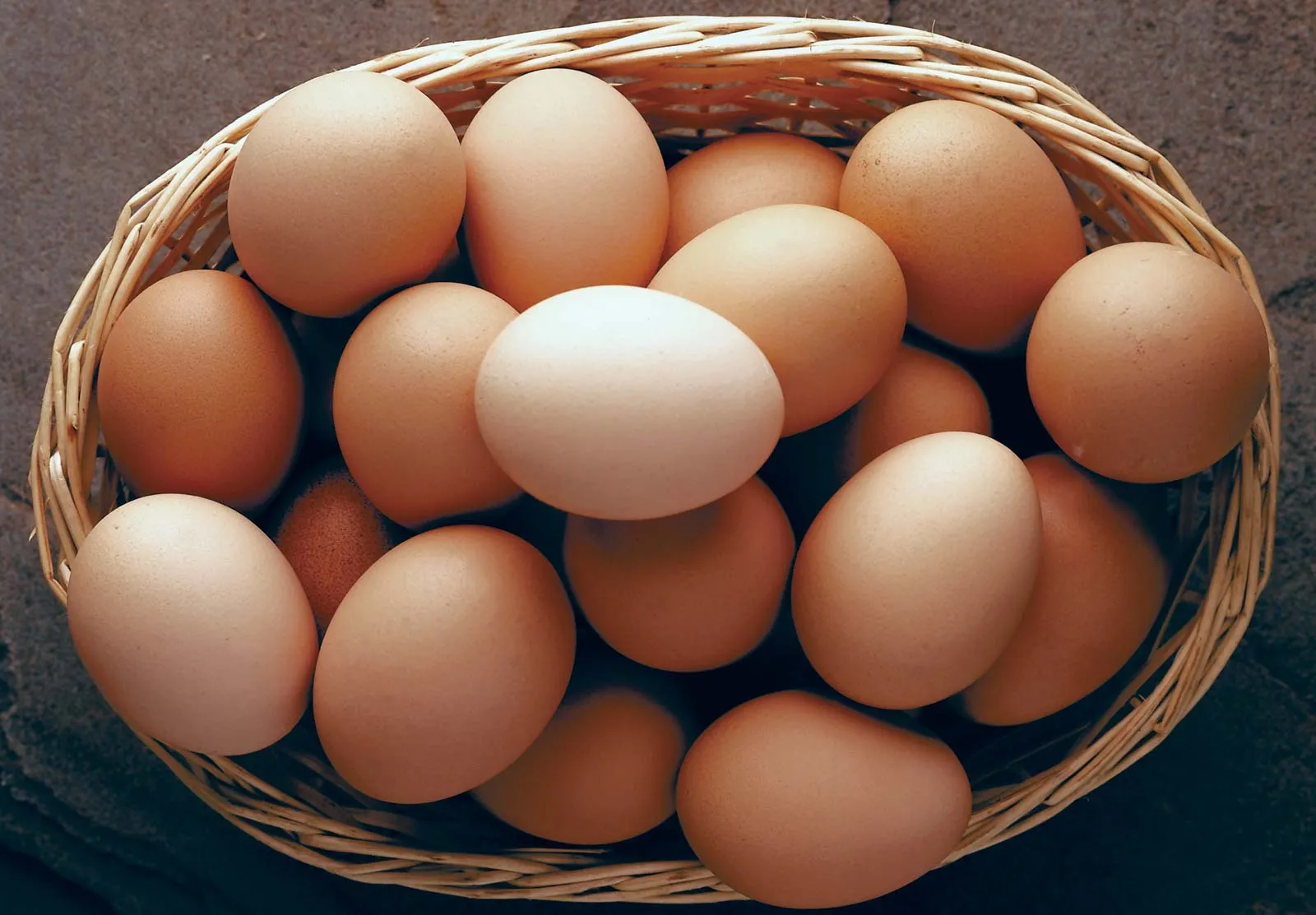 Ilustrasi telur