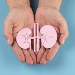 Tips Jaga Ginjal agar Terhindar Penyakit Kronis