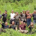 Polisi Temukan Lahan Ganja 5 Hektare Berkat Alat BRIN
