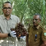 Pj Wali Kota Sabang Reza Fahlevi didampingi Kepala Dinas Pertanian dan Pangan Kota Sabang Fakri, bersama Kelompok Tani Gampong Balohan, melakukan panen salak di kebun milik Sarbini. Foto: sabangkota.go.id