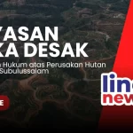 14 Hektare Hutan Lindung di Subulussalam Dirambah Perusahaan Sawit. Foto: Youtube/Line1.News