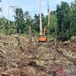 Ekskavator sedang merambah hutan lindung di kawasan Rawa Tripa, Kecamatan Darul Makmur, Kabupaten Nagan Raya, Provinsi Aceh. Foto: Antara/Dokumentasi Apel Green Aceh