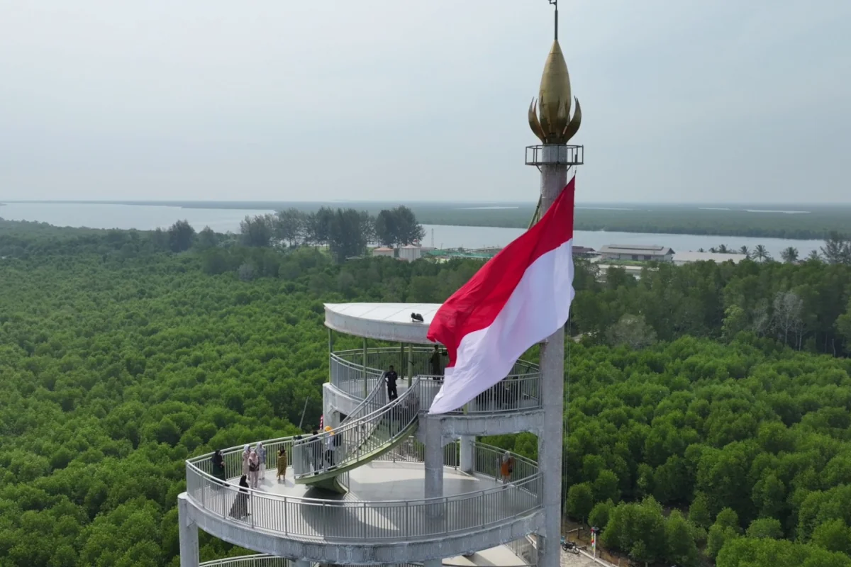 Bendera Merah Putih raksasa berkibar di Tugu Hutan Mangrove Langsa, Kamis, 1 Agustus 2024. Foto: Istimewa