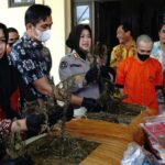 Polda DIY Tangkap Pengedar Jaringan Aceh, 3 Hektare Ladang Ganja di Gayo Lues Dimusnahkan