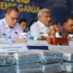 BNN Tangkap Penyelundup 624 Kilogram Ganja dari Gayo Lues ke Sumbar, Diangkut Pakai Grand Max