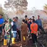 kebakaran lahan