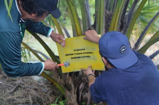 Tim gabungan memasang plang larangan membuka lahan di dalam kawasan Taman Nasional
Gunung Leuser (TNGL), berlokasi di Blok Tenggulun, Kabupaten Aceh Tamiang, Provinsi Aceh. Dokumen
BBTNGL