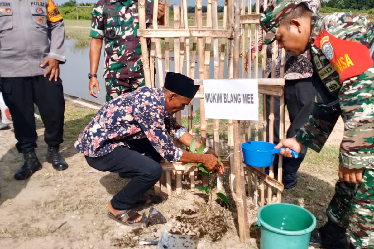 penghijauan7