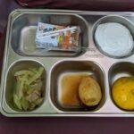 Menu makan bergizi gratis