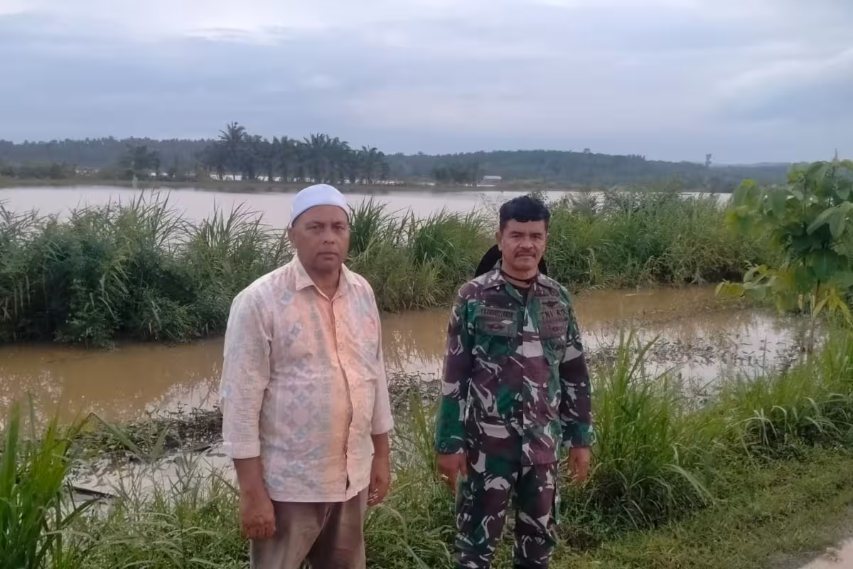 Sawah Nisam terendam5