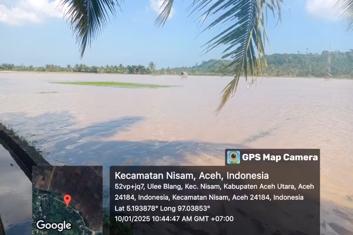 Sawah Nisam terendam6