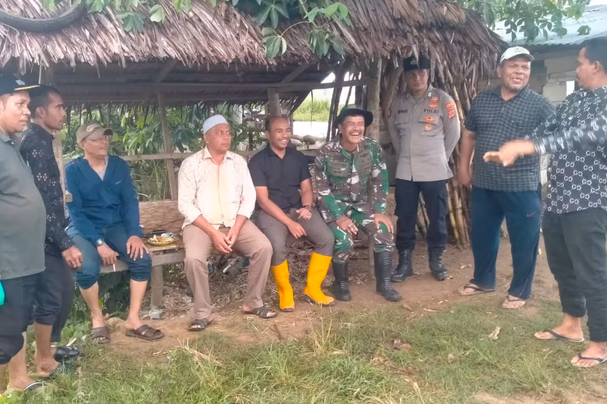 Sawah Nisam terendam7
