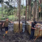 Sumur Minyak Ilegal7