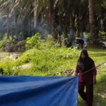 Sungai di Kebun Sawit