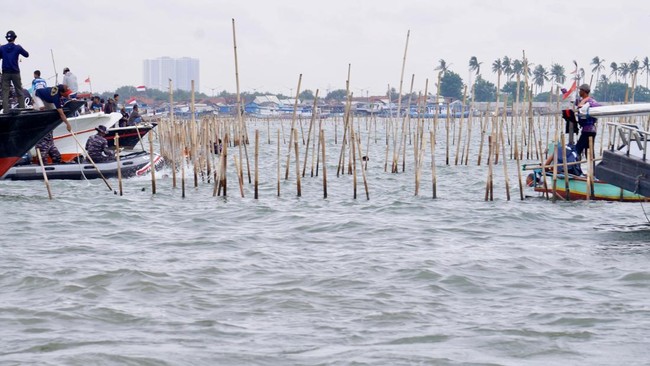 TNI AL dan KKP kembali bongkar pagar laut di tangerang
