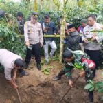 Penggalian drum berisi jenazah yang dikubur di tengah kebun kopi. Foto: Line1.News/Erwin Sar