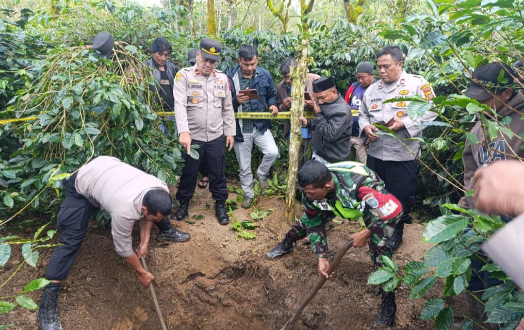 Penggalian drum berisi jenazah yang dikubur di tengah kebun kopi. Foto: Line1.News/Erwin Sar