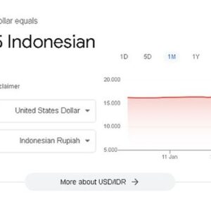 Kurs USD ke rupiah di laman Google