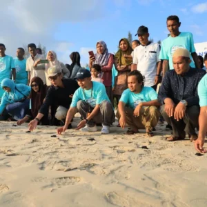 Pelepasan tukik di Pulo Aceh