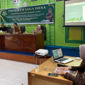 Progra, Jaga Desa