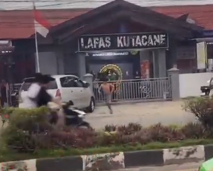 Napi lapas kutacane kabur