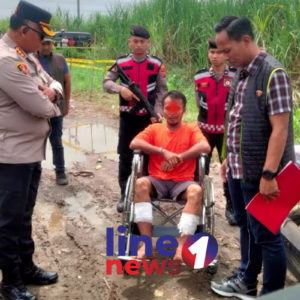 Pelaku pembunuhan korban