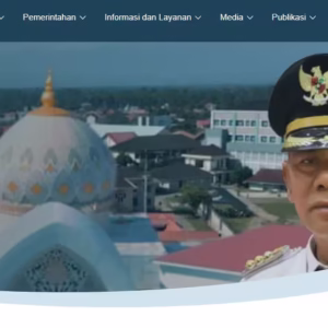 Website Pemkab Pidie