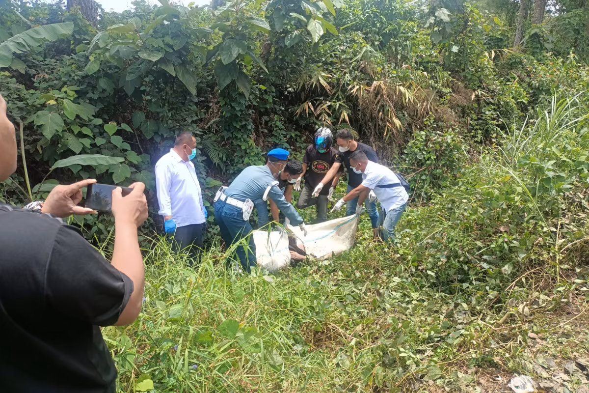 evakuasi perawat hasfiani hl