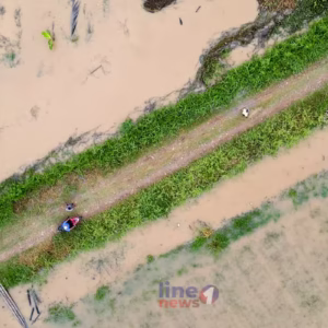 sawah nisam banjir line1news yasir HL