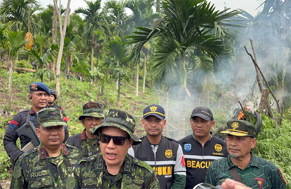 BNN musnahkan ladang ganja di Aceh Besar