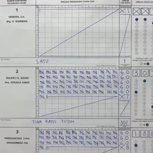 Hasil PSU di TPS 02 Paya Seunara Sabang