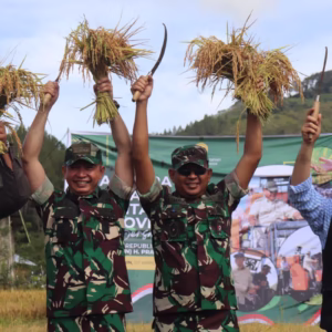 Panen Raya di Aceh Tengah