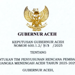 SK Gubernur Aceh Tim RPJMA 2025 2029