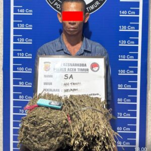 Seorang pria yang diduga melakukan tindak pidana peredaran narkotika jenis ganja diamankan polisi. Foto: Humas Polres Aceh Timur