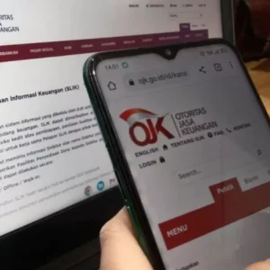 Tampilan SLIK OJK