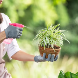 Ilustrasi berkebun