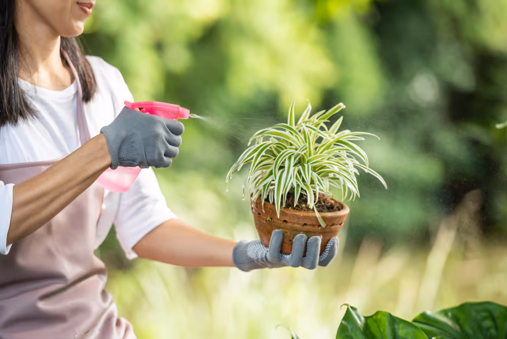 Ilustrasi berkebun