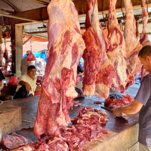 Pedagang daging sapi di Pasar Induk Lambaro