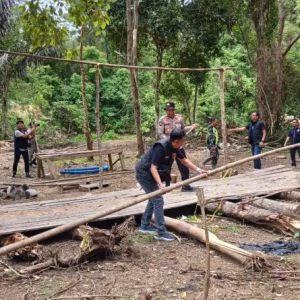 Penertiban tambang emas ilegal