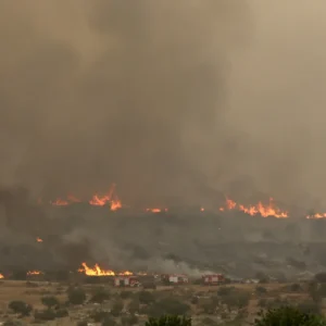 kebakaran hutan di Israel