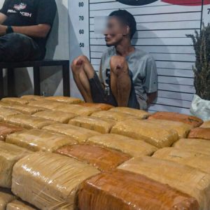 Barang bukti ganja dan tersangka SZ