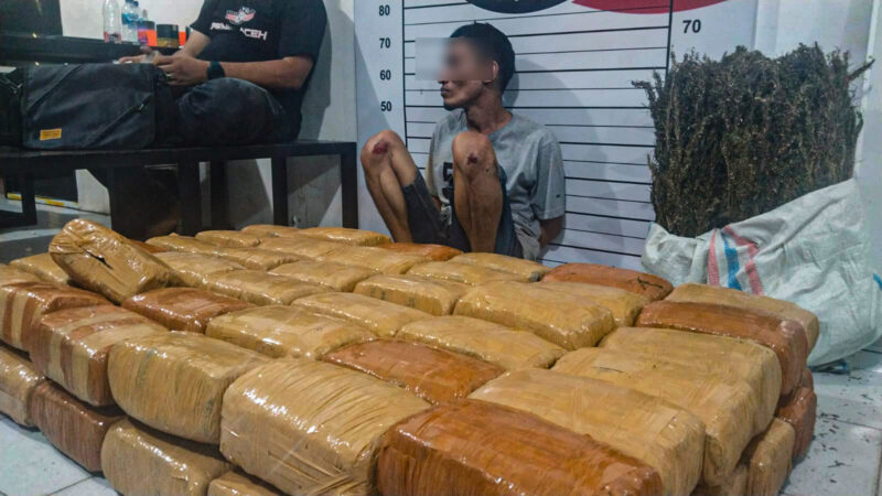 Barang bukti ganja dan tersangka SZ