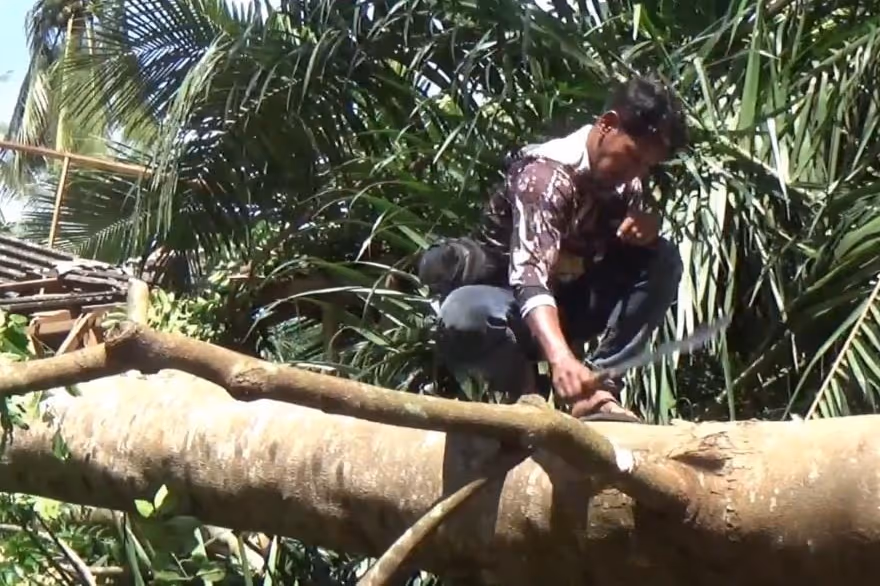 Warga membersihkan pohon tumbang yang menimpa sebuah rumah