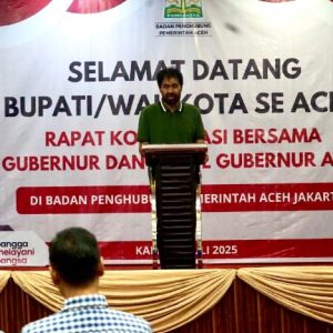 Gubernur Mualem