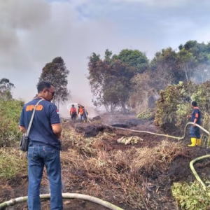 Pemadaman kebakaran lahan di Aceh Barat