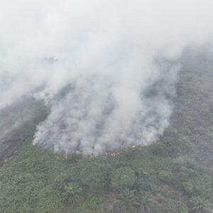 Karhutla di Aceh Selatan