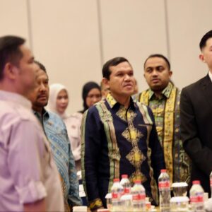 Wakil Gubernur Aceh Fadhlullah